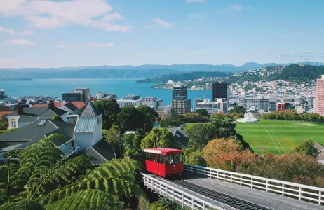 Wellington Ticket Excursão de dia inteiro a Wellington