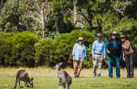 Canberra Tour Vida Selvagem e Aves de Camberra
