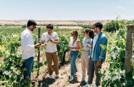 Madri Tour Visitando aldeias tradicionais espanholas e vinícolas com degustação de vinhos e almoço de tapas