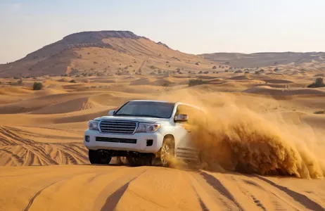 Dubai Tour Desert Safari with Dinner