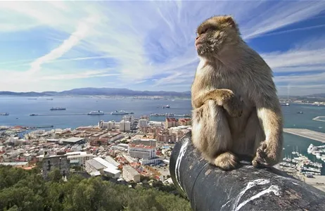 Fuengirola Tour Tour of Gibraltar