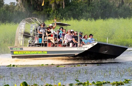 Orlando Tour 30-Minute Airboat Ride on Boggy Creek