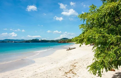 San José Tour Excursão de dia inteiro ao Parque Nacional Manuel Antonio saindo de San Jose