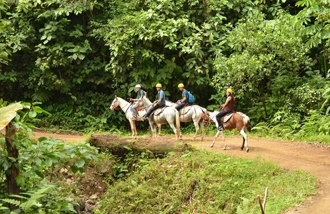 Jacó Tour Horseback Riding from Jacó