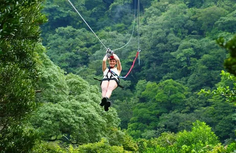 San José Tour Passeio de tirolesa no Parque Nacional Braulio Carrillo em San José