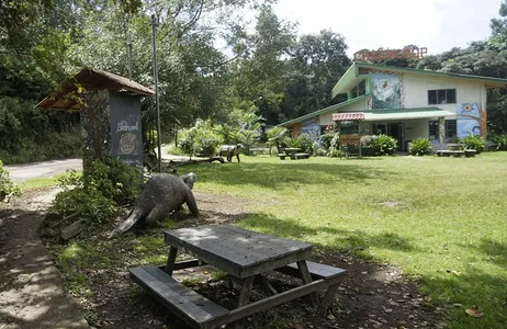 Monteverde Tour Experiência local em Monteverde Visita guiada saindo de Monteverde