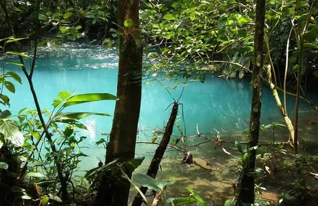 San José Tour Passeio de um dia pelo Rio Celeste saindo de San Jose