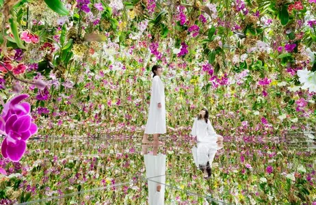 Tokio Ticket Ingresso de admissão do TeamLab Planets TOKYO DMM