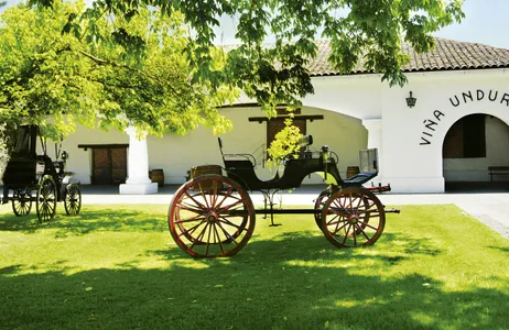 Santiago Tour Full Day en Isla Negra, Algarrobo y Bodega Undurraga