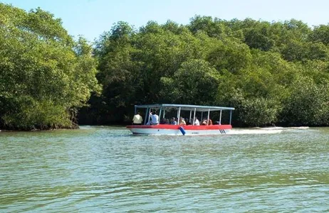 Quepos Tour Passeio de barco pela Ilha Damas saindo de Manuel Antonio
