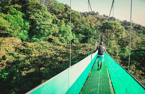 Puntarenas Tour Sky Walk de Monteverde
