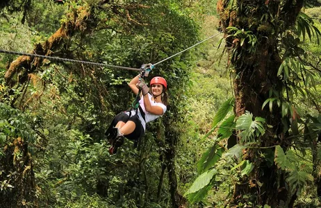 Puntarenas Tour Excursão de tirolesa e pontes suspensas pela floresta tropical saindo de Monteverde