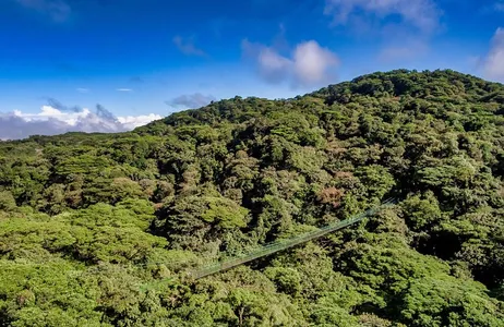 Puntarenas Tour Pontes Suspensas e Guia Turístico de Monteverde