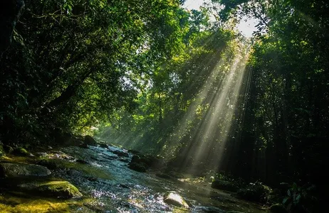 São Paulo Tour Aventura pela Trilha Costeira em Bertioga: Explorando Belezas Naturais