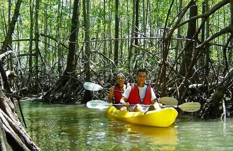 San José Tour Passeio de caiaque na Ilha Damas saindo de Manuel Antonio