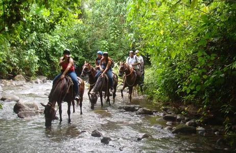 Alajuela Tour Passeio a cavalo até a Cachoeira La Fortuna saindo de Arenal