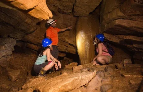 Alajuela Tour Cavernas Arenal Venado