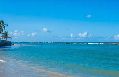 Natal Tour Passeio Litoral Sur com Camurupim
