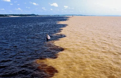 Manaus Tour Meeting of the Waters Tour + Piranha Fishing + Alligator