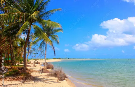 Ipojuca Tour Tour ao Litoral Norte - Saída de Porto de Galinhas