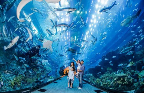 Dubai Tour Dubai Aquarium and Underwater Zoo