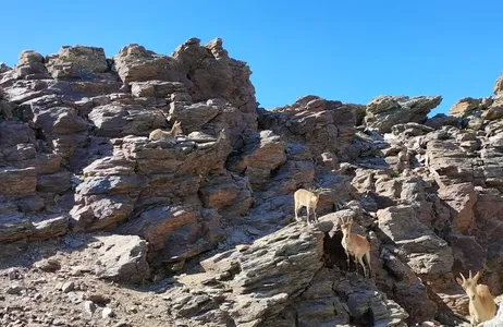Granada Tour Excursión de un día a Sierra Nevada desde Granada