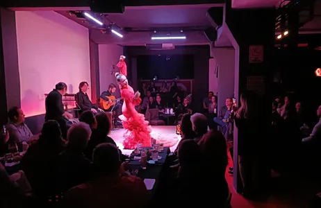 Mexico City Tour Cena con espectáculo flamenco en vivo