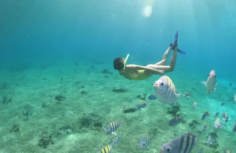 Cancún Tour Transparent Boat Tour and Snorkeling in Cozumel