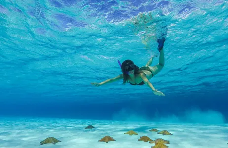 Cancún Tour Cozumel Snorkeling Tour: Catamaran Sail, El Cielo Bay, and Palancar Reef