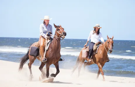Punta del Este Tour HORSEBACK RIDING ON THE BEACH