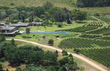 Punta del Este Tour HORSEBACK THROUGH THE AGUAVERDE VINEYARDS