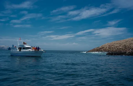 Lima Tour Lima: Palomino Islands, Swim with Sea Lions in the Pacific Ocean (with transfers)