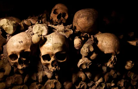 Paris Tour Bilhete sem fila Para Catacombas Com Audioguia e Bilhete De Cruzeiro