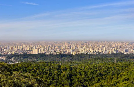 São Paulo Tour Tour Ecológico pelo Parque Estadual da Cantareira