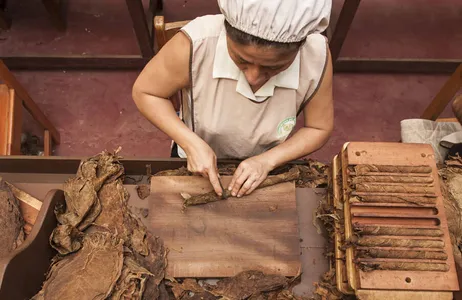 San Martín Tour Los tesoros escondidos de Tarapoto: recorridos por la ciudad, chocolate y animales