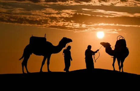 Ica Tour Paseo en camello: una experiencia inolvidable en el desierto