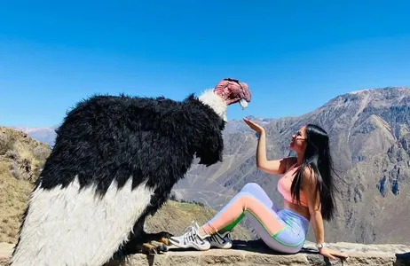 Puno Tour Colca Canyon Discovery - 2-Day Trip