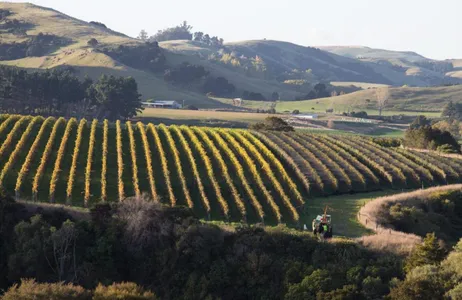 Wellington Tour Visita à vinícola Martinborough