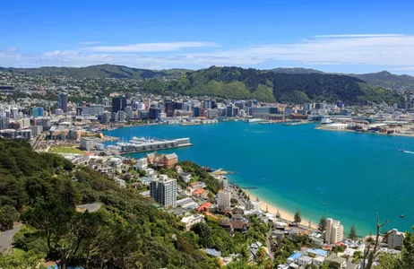 Wellington Tour Passeio pelos destaques de Wellington - Da caverna à costa