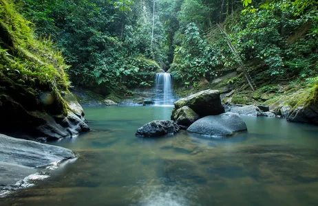 San Martín Tour Paraíso Selvático y Cascada Carpishuyacu y Termales de San José