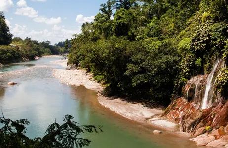 San Martín Tour Maravillas de Vida Silvestre: Reserva Alto Mayo en Tarapoto
