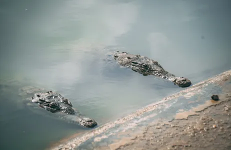 Provincia de Tumbes Tour Maravilhas dos Manguezais - Puerto Pizarro e Passeio pelas Ilhas