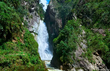Oxapampa Tour Expedición Villa Rica: Cultura Cafetalera y Descubrimiento del Bosque Tropical