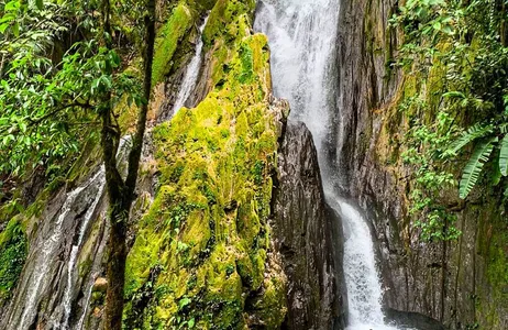 Tingo María Tour La joya escondida de San Miguel: descubre la espectacular cascada