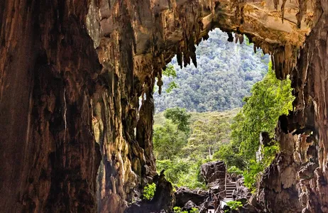 Tingo María Tour Aventura en la oscuridad: Cueva del Búho y expedición a Santa Carmen