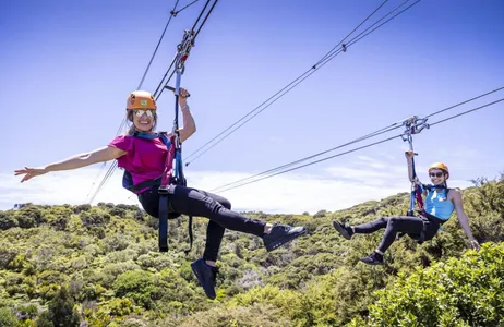 Auckland Tour Ilha Waiheke - tirolesa e jantar com vinho Premium