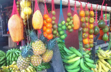 Cartagena Tour Bazurto Market in Cartagena