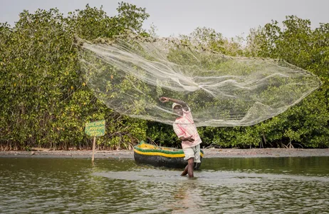 Cartagena Tour Mangrove forest in Cartagena