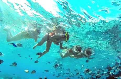 Isla de San Andrés Tour San Andrés Aquarium, Bay, and Mangrove Tour with Shared Transportation
