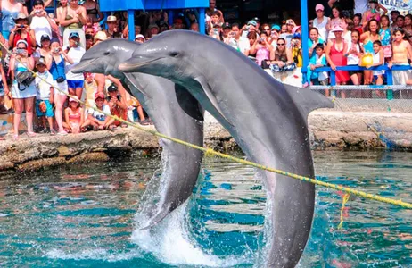 Santa Marta Tour Playa Blanca Aquarium in Santa Marta